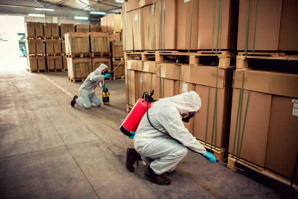 Best Pest Inspection Near Me  in St Charles, MN