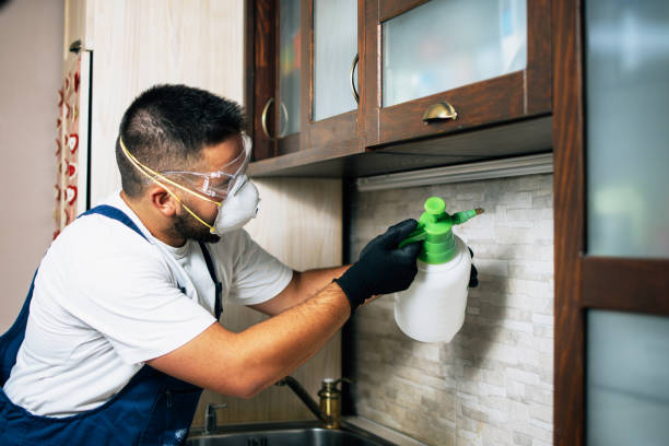Best Affordable Pest Control Services  in St Charles, MN