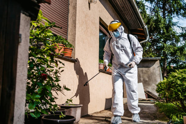 Best Bed Bug Extermination  in St Charles, MN