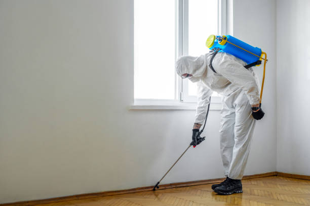 Best Pest Inspection Near Me  in St Charles, MN