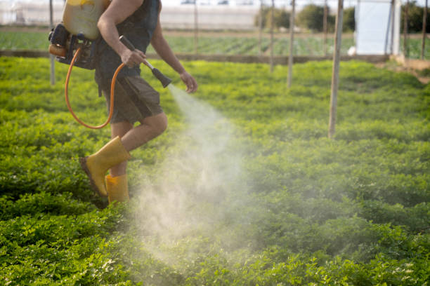 Best Commercial Pest Control Services  in St Charles, MN