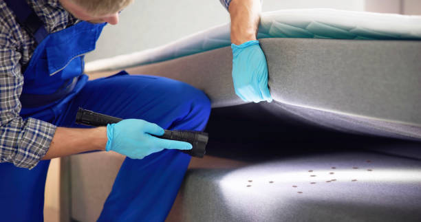Best Rat Extermination Near Me  in St Charles, MN
