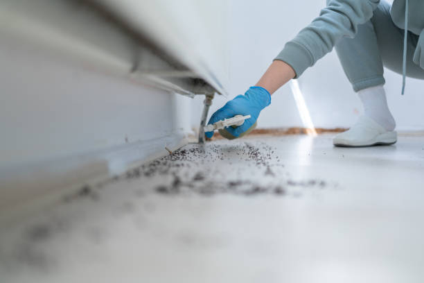Best Emergency Pest Control  in St Charles, MN