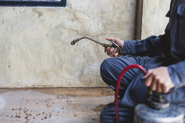 Best Exterminator Services  in St Charles, MN